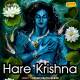 Hare Krishna Kirtan Poster