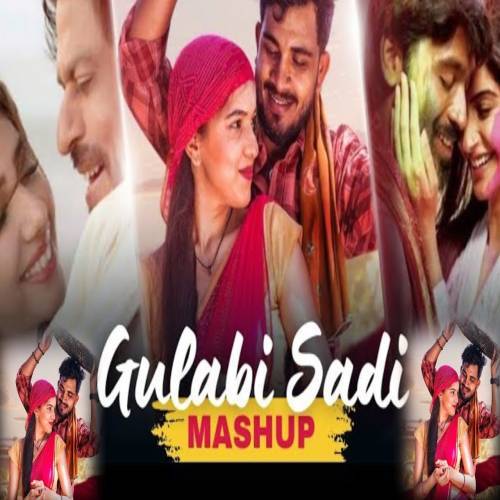 Gulabi Sadi Mashup Poster